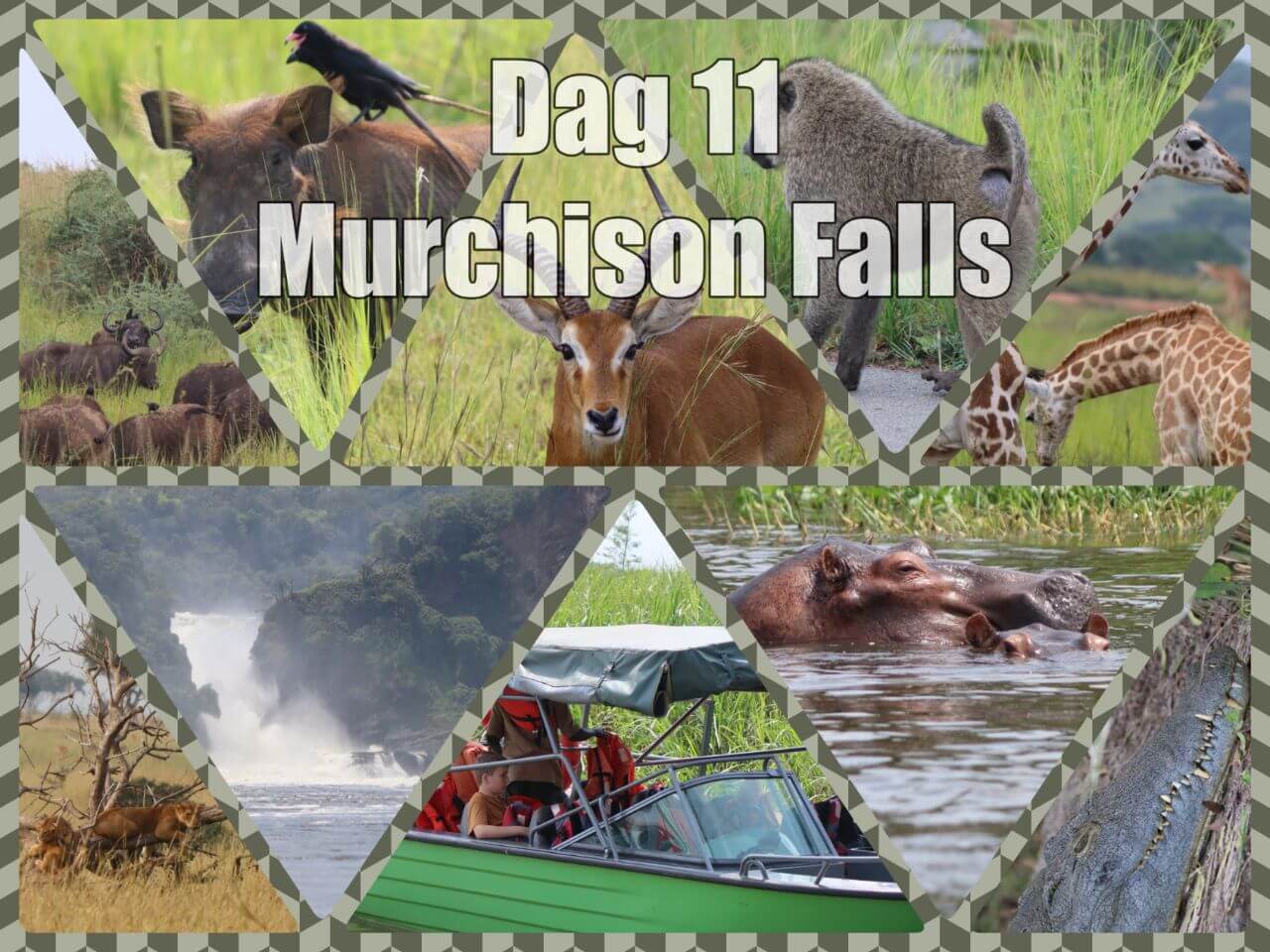Image for Murchison Falls